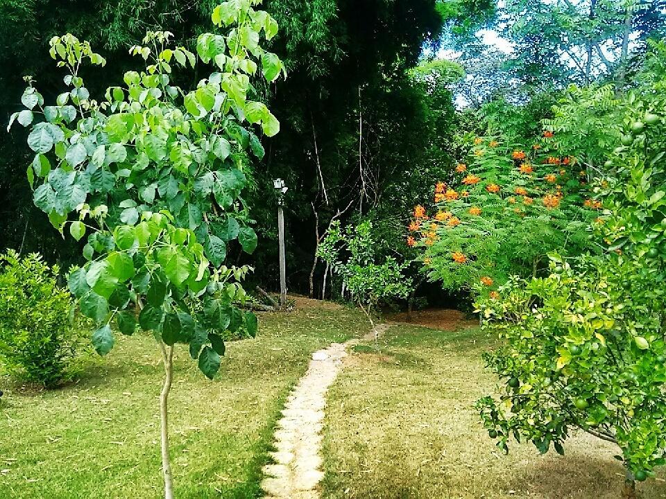 Pousada Orquideas Da Canastra Vargem Bonita Bagian luar foto